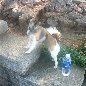 Meet your Posher, Adriana